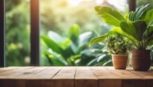 Empty Wood Table Top On Blur Window Sill With Green House Plants Background