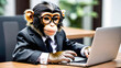 Monkey businessman office worker wearing glasses and suit working on his desk with laptop.Human characters through animals concept.Generative AI.