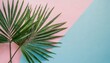 painted palm leaves on pastel pink and blue background with copy space tropical summer concept minimal flat lay