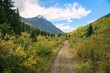 Yukon Summer Hike
