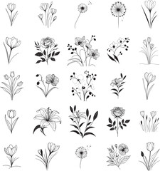 set of black and white flowers, ornament decoration floral shapes of tulip, rose, orchid, lily, corcus, 