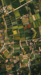 Wall Mural - Aerial View of Rural Development. Rural Background