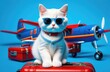 Cat in sunglasses with a suitcase and travel accessories on a blue background. Preparing for summer vacation, traveling by plane.