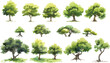 © Chelebi - Set of watercolor green tree isolated on white background for landscape and architecture drawing, elements for environment and garden, botanical for section in spring. Watercolor trees collection