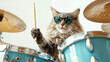 Fashion modern rock cat kitty drummer beating drum set devoted isolated on white background, funny animal musician playing music with stylish sunglasses.