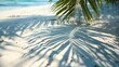 Portrait of a coconut tree leaf and its shadow on white sand beach