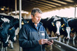 A farmer uses a tablet to monitor and manage dairy cattle, highlighting the integration of technology in agriculture.