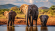 A family of elephants at a watering hole.
