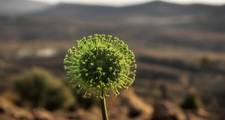 Sticker -  Nature's intricate beauty in bloom