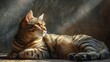 © pisan - Serene Tabby Cat Basking in Warm Sunlight Indoor