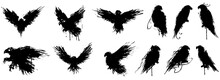 Handdrawn Black Silhouettes Of Birds. Black Ink Of Eagle, Raven, Hawk, Falcon Vector Illustration