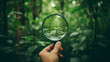 © BB_Stock - Hand holding a magnifying glass on green nature background.