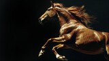 Fototapeta  - Horse jump on a black background. Flying animal. Beautiful muscles