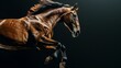 Horse jump on a black background. Flying animal. Beautiful muscles