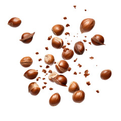 Falling whole hazelnuts isolated on transparent a white background 