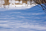 Fototapeta Na ścianę - Stems  of tall grass in a snowdrift