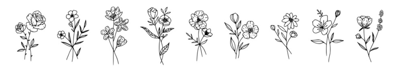Wall Mural - vector botanical collection of floral and herbal elements. isolated vector plants, branches and flowers in ink sketch design. hand drawn botanical doodle set for cards, invitations, logo, diy projects