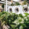 Urban laundromat with row of washing machines, plants, and basket - daily life chores concept