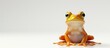 A small yellow and white frog is perched on top of a white surface. The frog is distinctly colored in yellow and white, standing out against the plain white background.