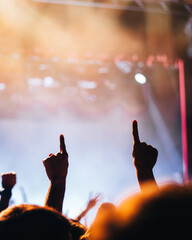 Wall Mural - silhouette of a person with arms raised in a concert