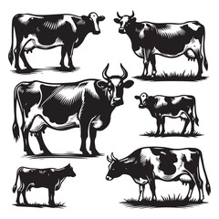 Wall Mural - Set of cow silhouettes isolated on a white background, Vector illustration.