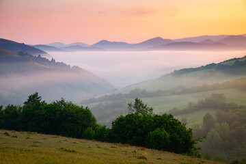 Poster - A tranquility view of the mountainous area in the haze. Carpathian National Park, Ukraine, Europe.