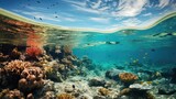 Fototapeta Do akwarium - great barrier reef in the beach
