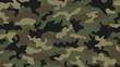 © Derby - Camouflage pattern with organic shapes, camouflage texture