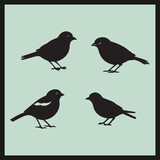 Fototapeta Dinusie - Chaffinch black silhouette, set of birds