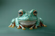 Green frog on pale background. February 29 leap year day concept