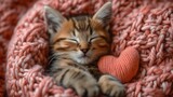 Fototapeta Niebo - Różowy koc jest miejscem na którym kociak śpi bezpiecznie z serduszkiem na drutach