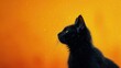 Czarny kot przed pomarańczowym tłem