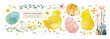 Happy easter! Vector floral watercolor illustration of Easter eggs, cute chick, spring flowers and plants, pattern for greeting card, invitation, background or poster