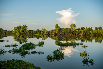 Wall Mural - THAILAND CHACHOENGSAO KHLONG KHUEAN BANG PAKONG RIVER