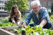© bomoge.pl - Senior Man and Young Adult Woman Planting in a Community Garden with Other People in the Background