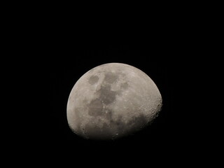 full moon in the night