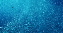 Air Bubbles Slow  Underwater Coming Up Scenery Dark Blue And Sun Shine Ocean Scenery From Scuba  Divers Backgrounds