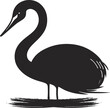 black and white heron