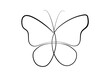Vector illustration with a continuous butterfly line