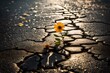 A small flower growing on a cracked asphalt road glistens in the light