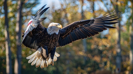 Wall Mural - a majestic eagle, carrying an american flag.
