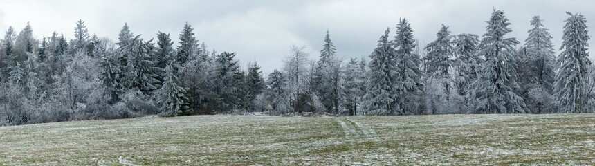 winter view, meadow and forest, snowy landscape