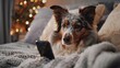 Domestic dog using smartphone internet online concept wallpaper background