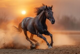 Fototapeta Konie - A black horse runs energetically through the sand, its mane flying, with a warm sunset glowing in the background