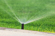 Automatic garden lawn sprinkler in action watering green grass