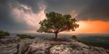 Lonely Beautiful Tree On The Top Rock Hill Mountain At Sunset. Nature Outdoor Scene View