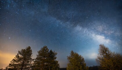 Wall Mural - Beau ciel nocturne, la Voie Lactée et les arbres