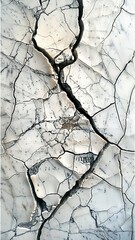 Wall Mural - White marble background with intricate gray veining