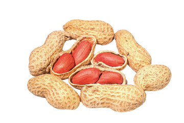 Canvas Print - Peanuts on transparent background PNG