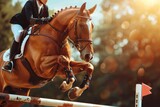 Fototapeta  - Equestrian in formal attire riding a chestnut horse clearing a jump during a show jumping event, with sunlit bokeh in the background.